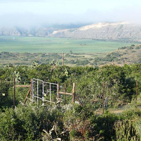 Kudu Ridge Game Lodge Addo Esterno foto