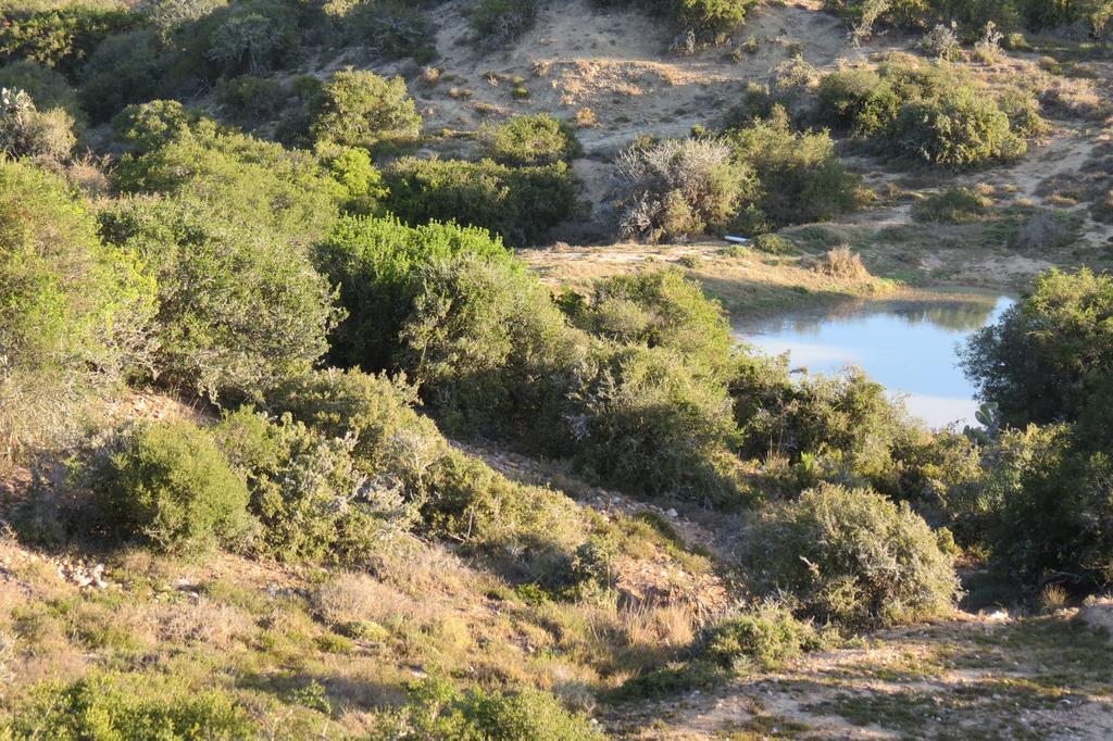 Kudu Ridge Game Lodge Addo Esterno foto
