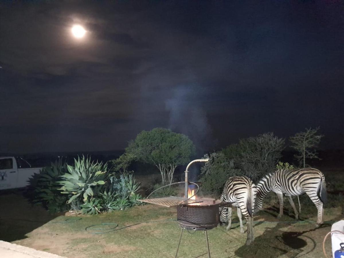Kudu Ridge Game Lodge Addo Esterno foto