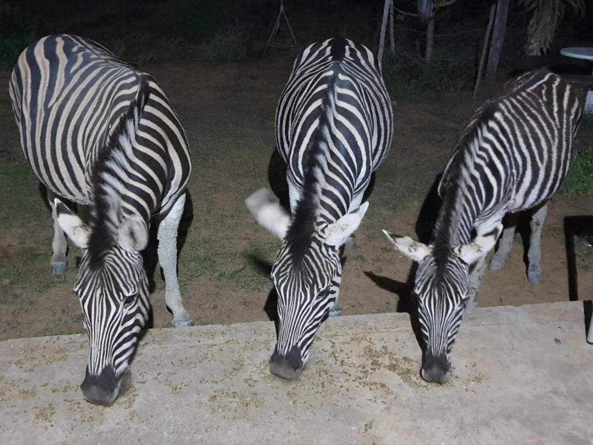 Kudu Ridge Game Lodge Addo Esterno foto