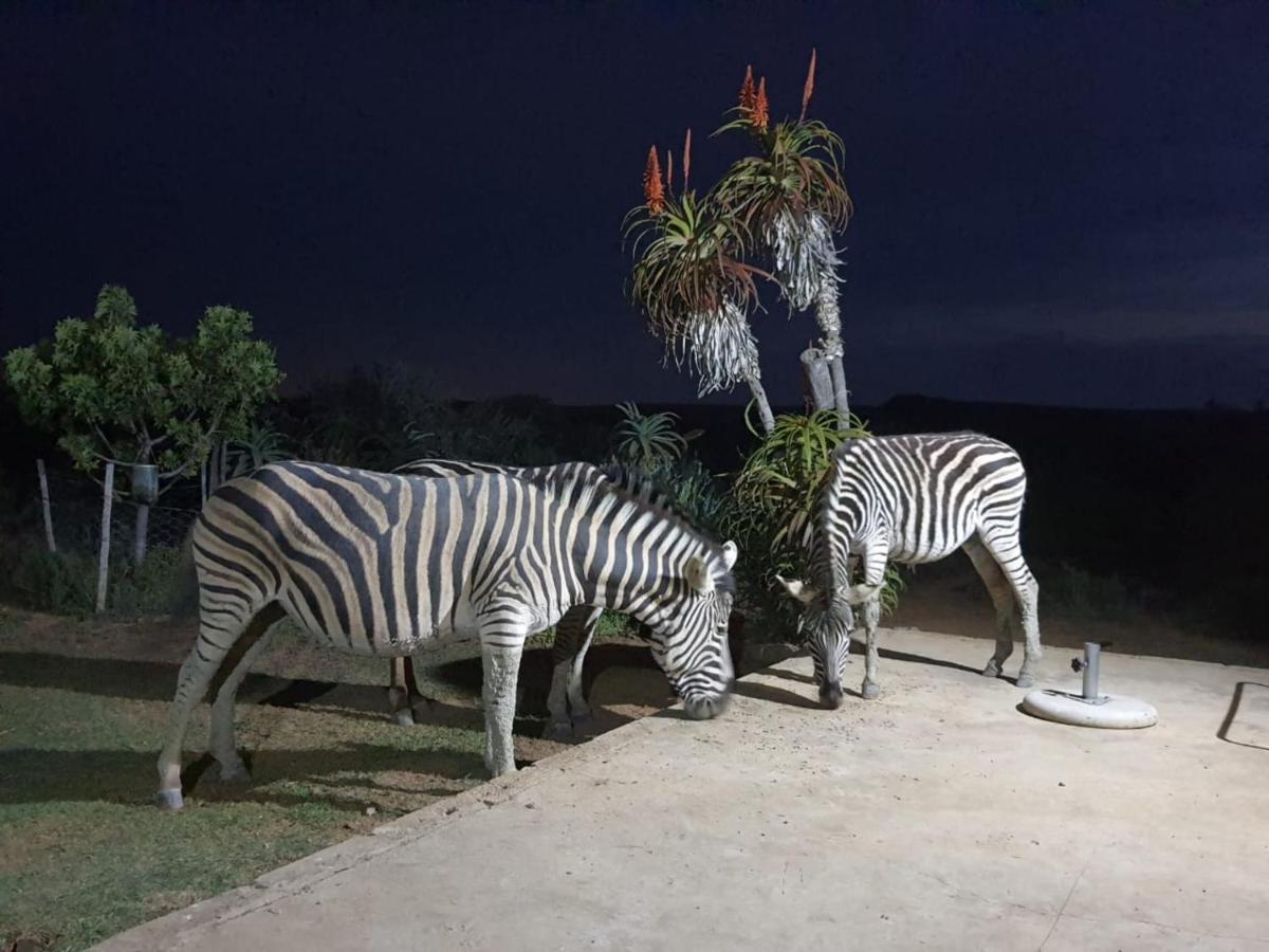 Kudu Ridge Game Lodge Addo Esterno foto
