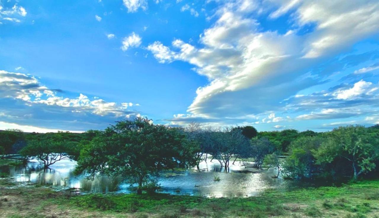 Kudu Ridge Game Lodge Addo Esterno foto