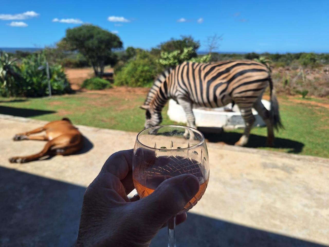 Kudu Ridge Game Lodge Addo Esterno foto