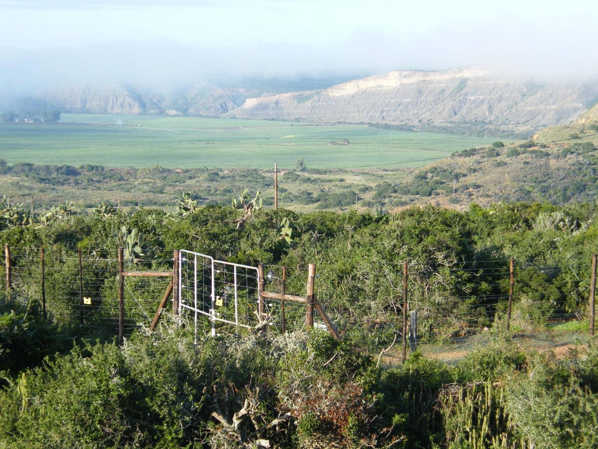 Kudu Ridge Game Lodge Addo Esterno foto