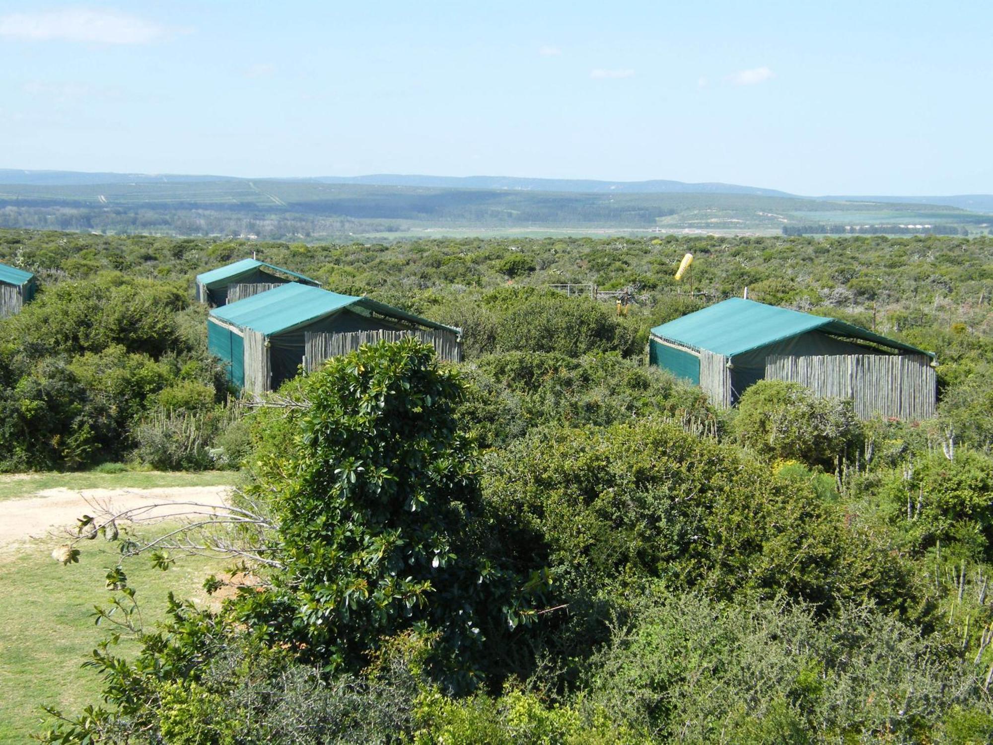Kudu Ridge Game Lodge Addo Camera foto