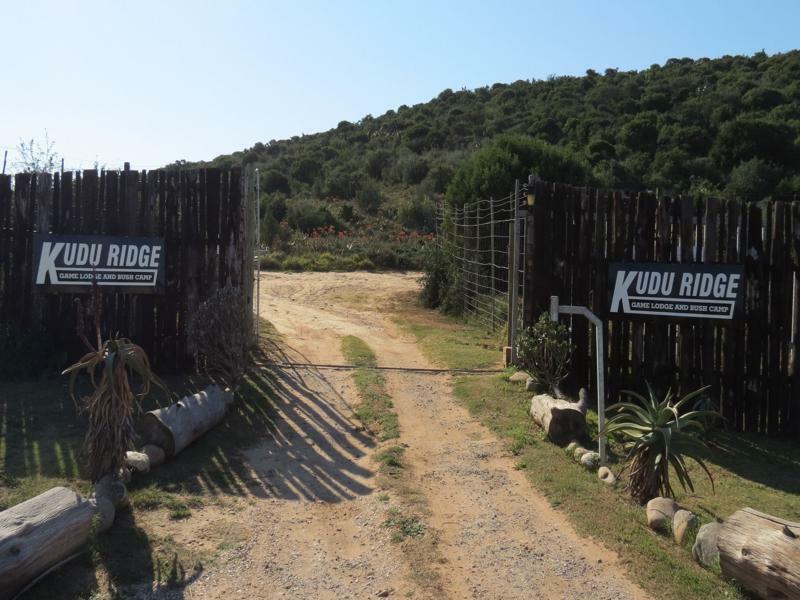 Kudu Ridge Game Lodge Addo Esterno foto